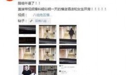 湖北网友爆料视频最新,惊人一幕，视频揭露惊人真相！